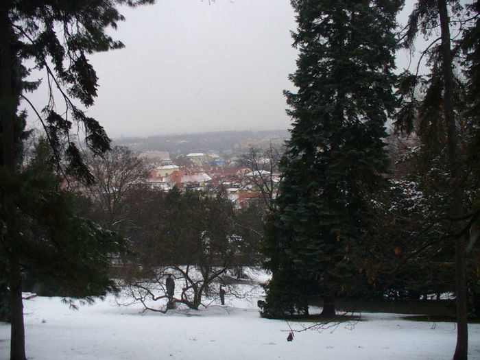 P1160982 - Praga 19_02_2013