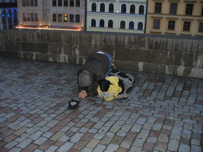 cersetorul si cainele sau