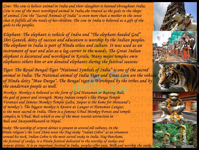 Sacred Animals - Animale sacre-Simbolurile Indiei