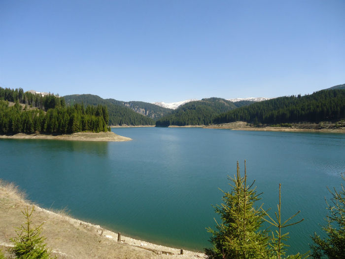 DSC00517 - Bucegi - Cheile Zanoagei - Lacul Bolboci - Pestera Ialomicioara