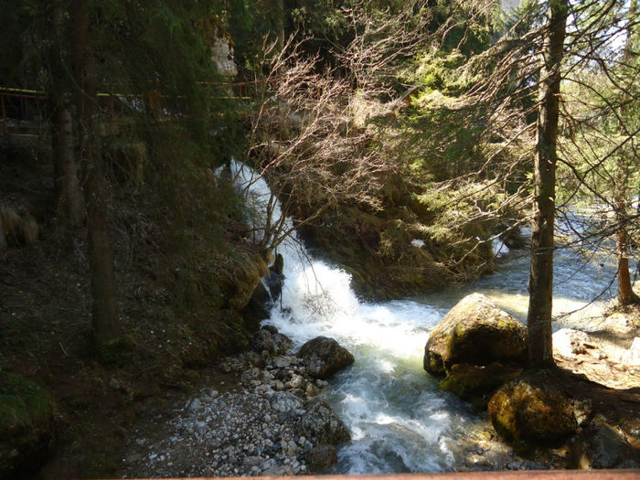 DSC00527 - Bucegi - Cheile Zanoagei - Lacul Bolboci - Pestera Ialomicioara