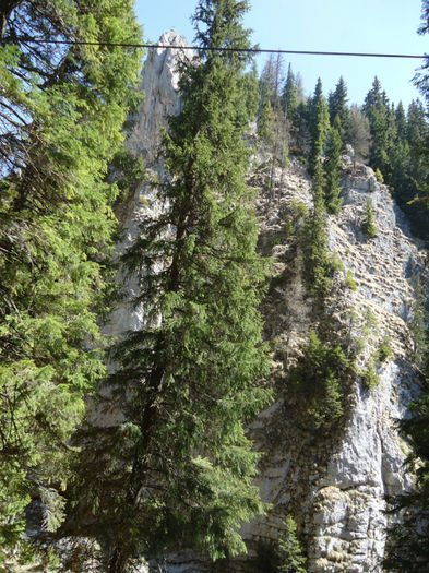 DSC00530 - Bucegi - Cheile Zanoagei - Lacul Bolboci - Pestera Ialomicioara