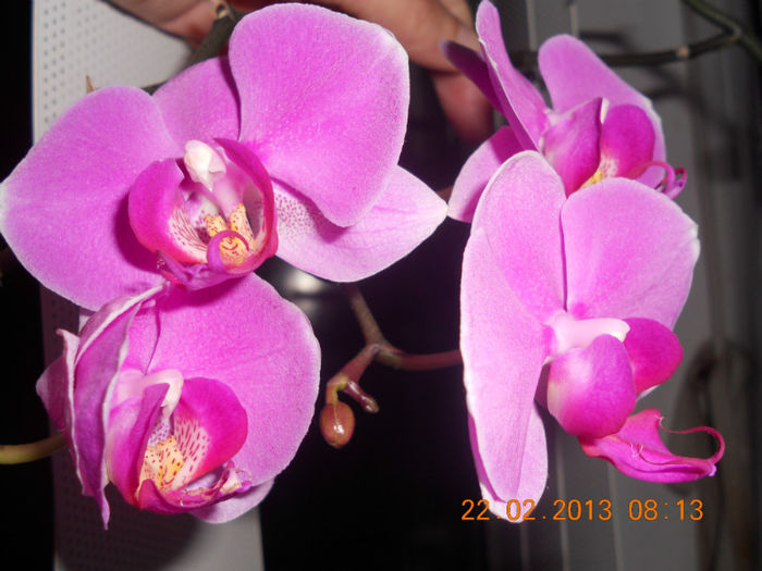 DSCN2673