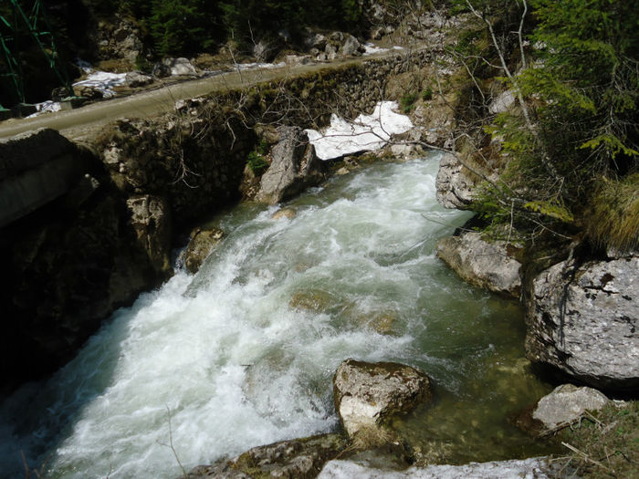 DSC00570 - Bucegi - Cheile Zanoagei - Lacul Bolboci - Pestera Ialomicioara