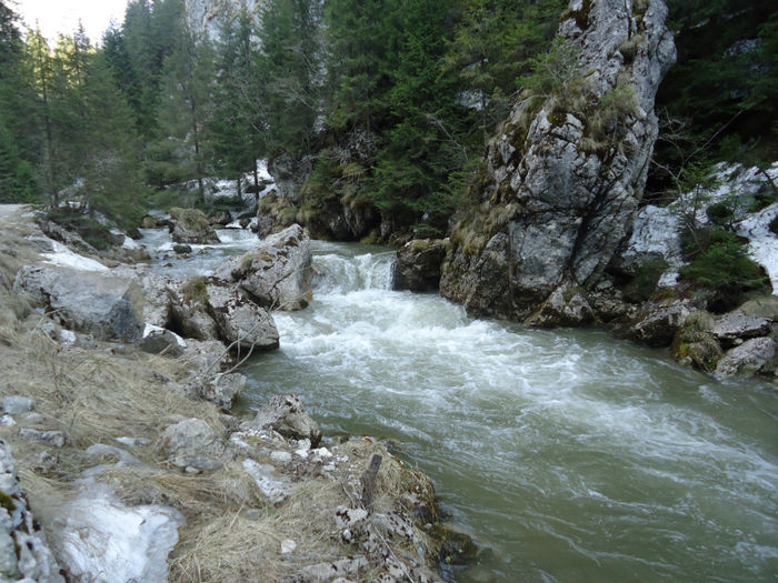 DSC00593 - Bucegi - Cheile Zanoagei - Lacul Bolboci - Pestera Ialomicioara