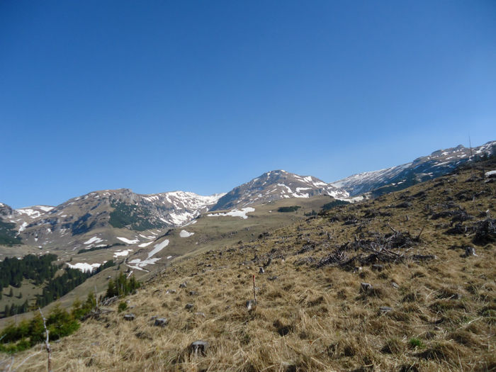 DSC00617 - Bucegi - Piatra Arsa - Platou - Cascada Urlatoare