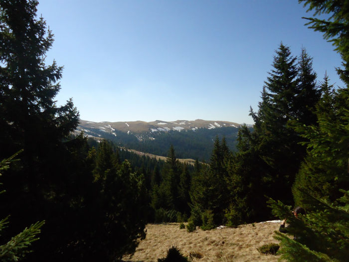 DSC00621 - Bucegi - Piatra Arsa - Platou - Cascada Urlatoare