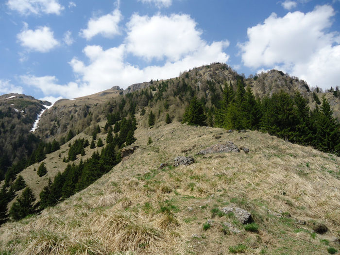 DSC00667 - Bucegi - Piatra Arsa - Platou - Cascada Urlatoare