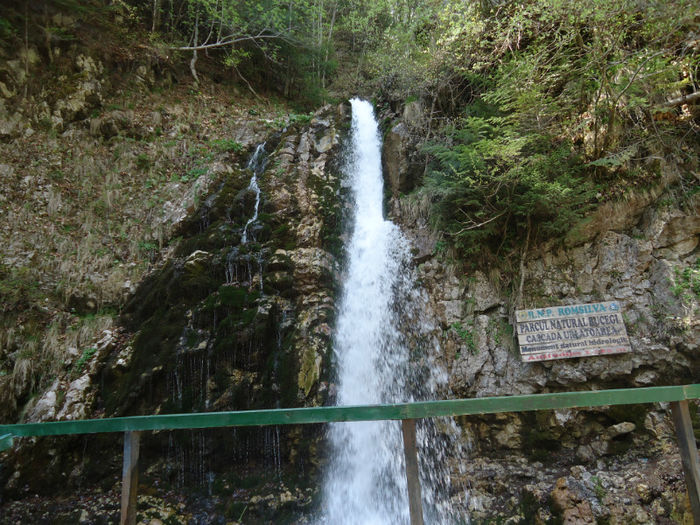 DSC00688 - Bucegi - Piatra Arsa - Platou - Cascada Urlatoare