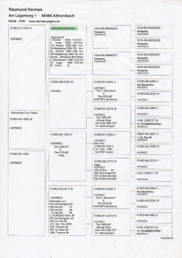 Anexa Pedigreu Hermesa - Poze si pedigree porumbei reproductie