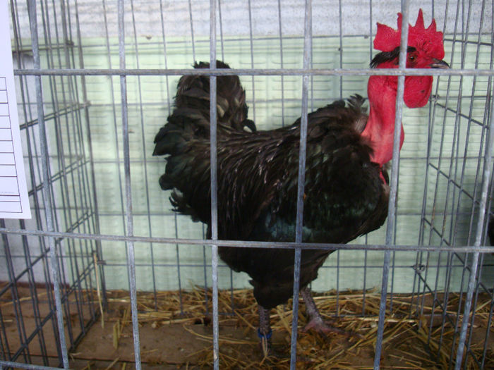 DSC02026