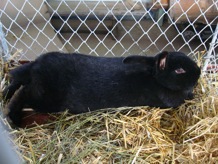 DSC02051