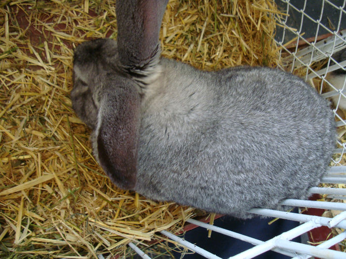 DSC02066