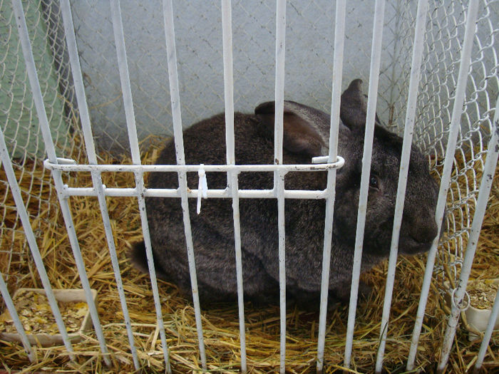 DSC02067