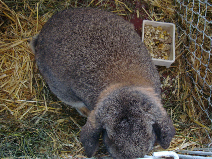 DSC02079