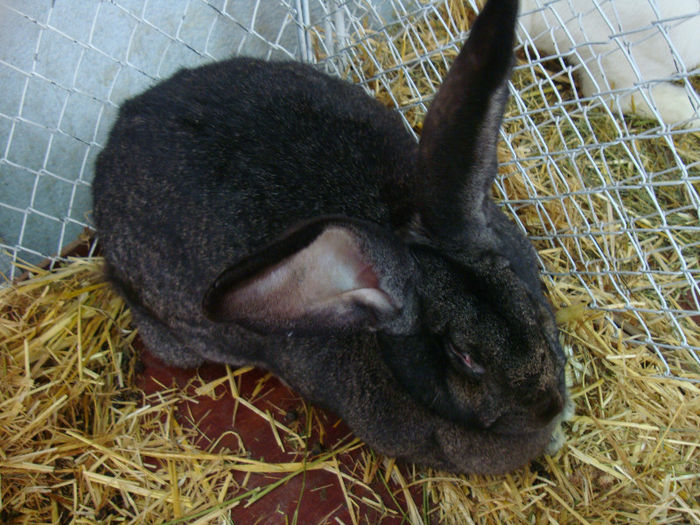 DSC02086