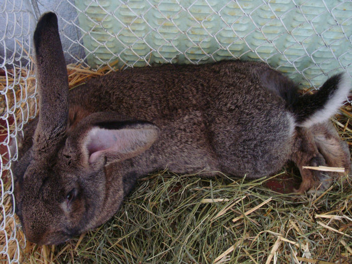 DSC02093