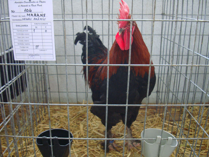 DSC02100