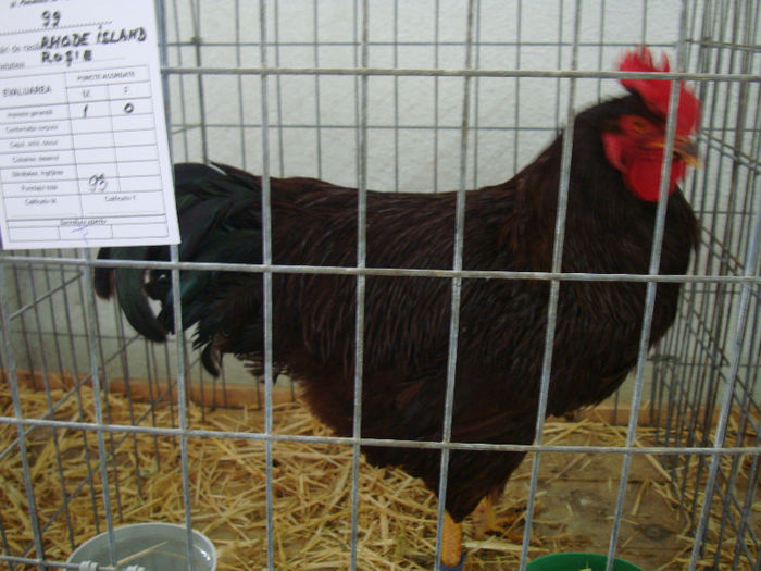 DSC02106