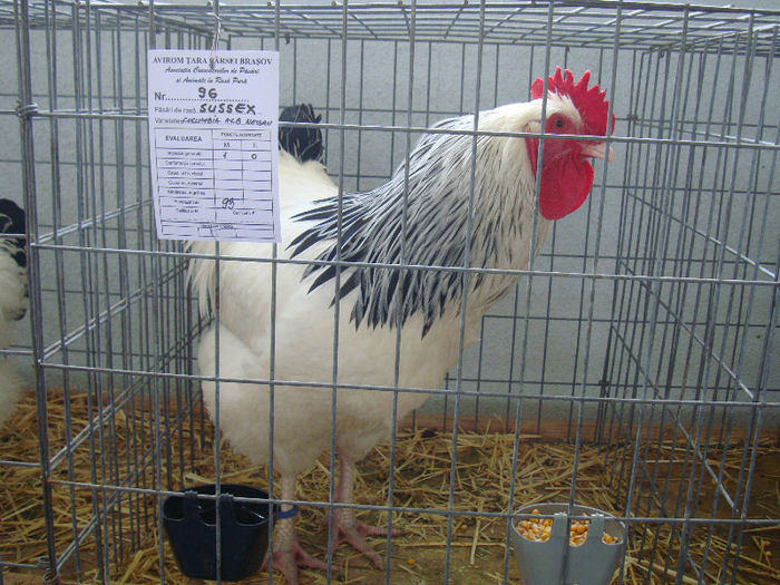 DSC02109