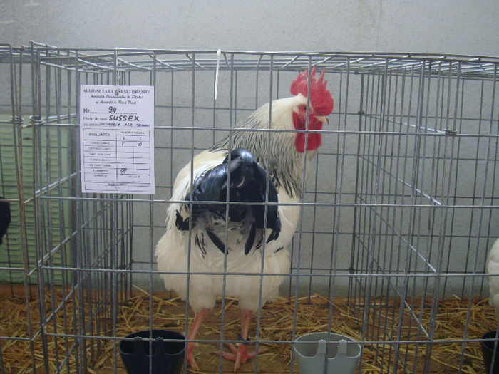DSC02111