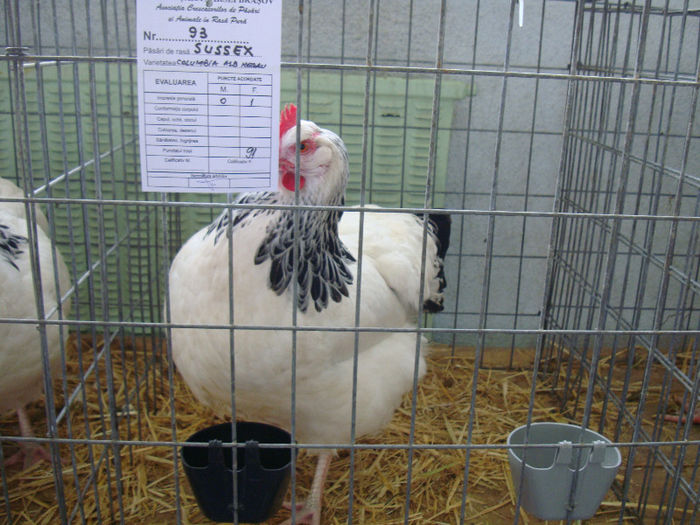 DSC02112