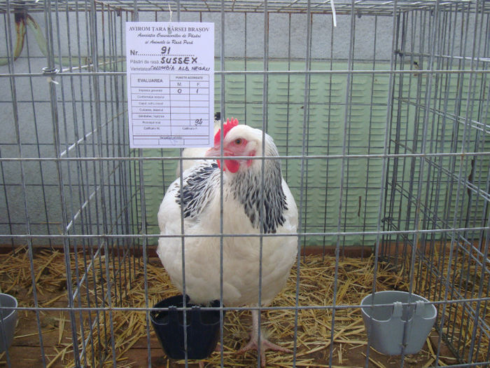 DSC02114