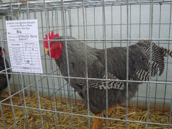 DSC02122