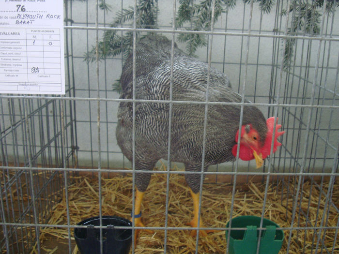 DSC02130