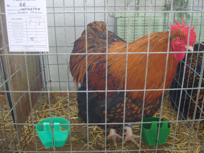 DSC02140