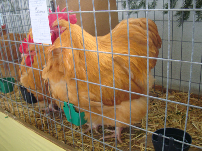 DSC02141