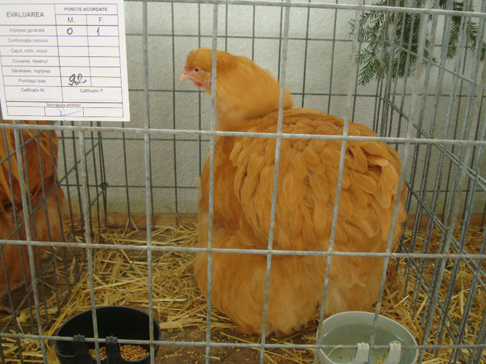 DSC02143