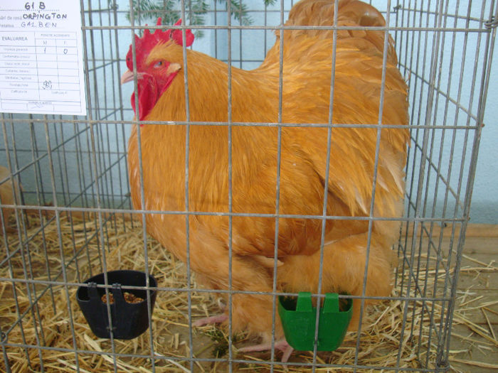 DSC02145