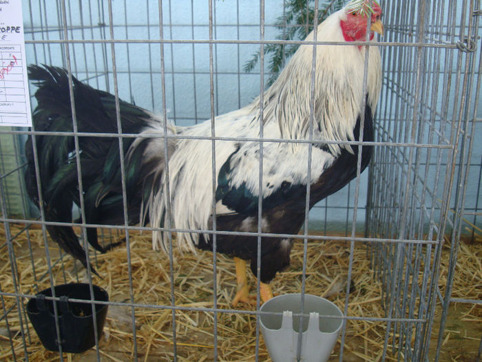 DSC02149