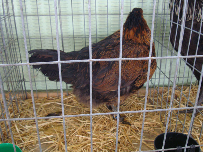 DSC02153