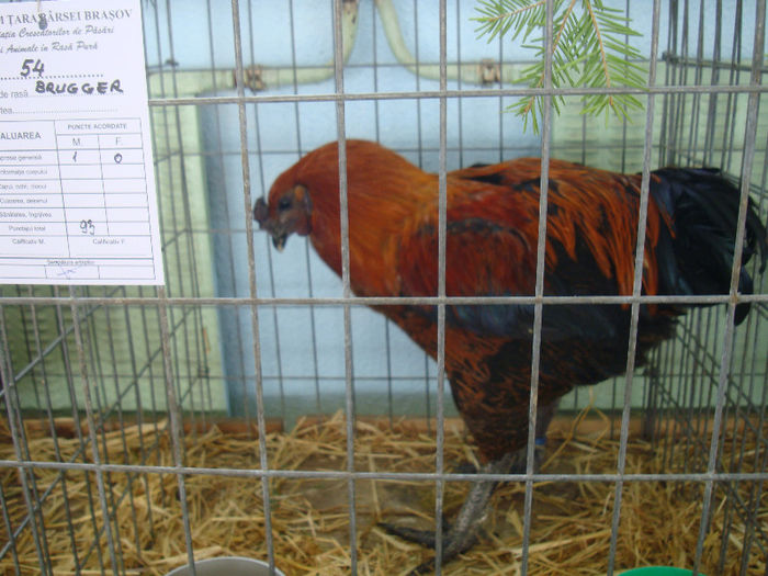 DSC02154
