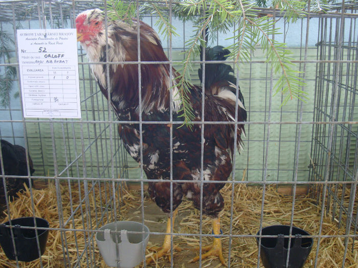 DSC02156
