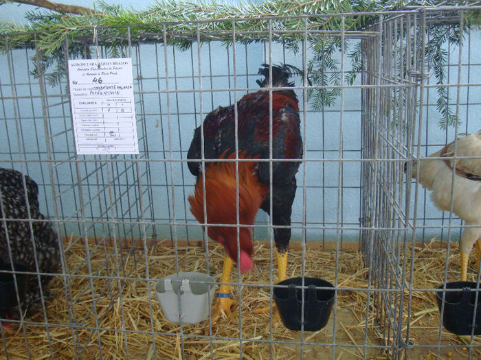 DSC02162