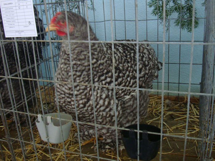 DSC02165