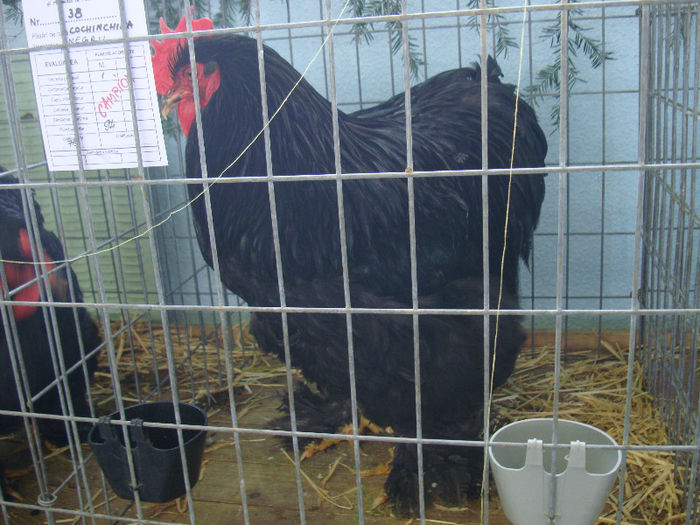 DSC02171
