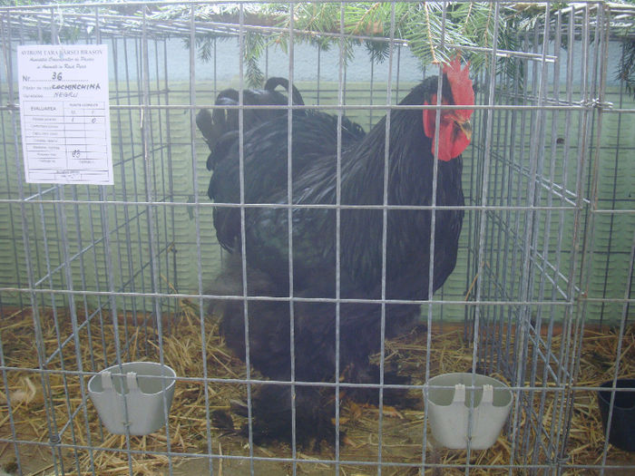 DSC02173