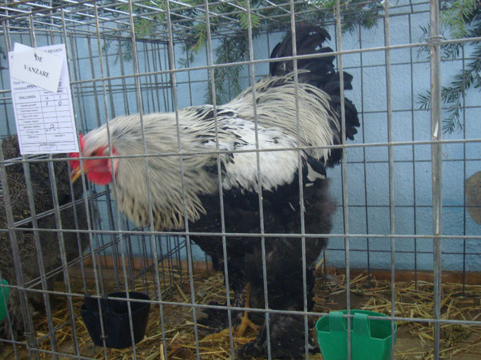 DSC02182