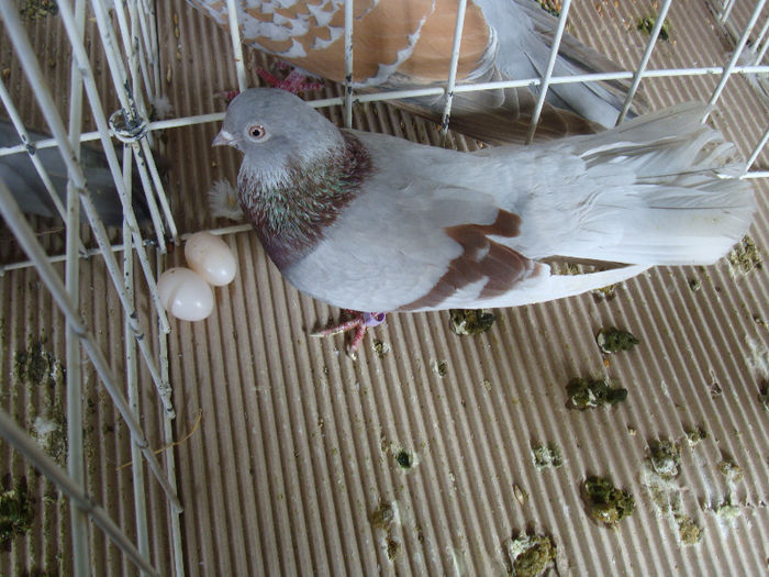 DSC02261