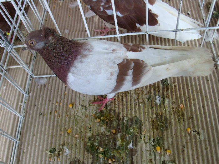 DSC02300