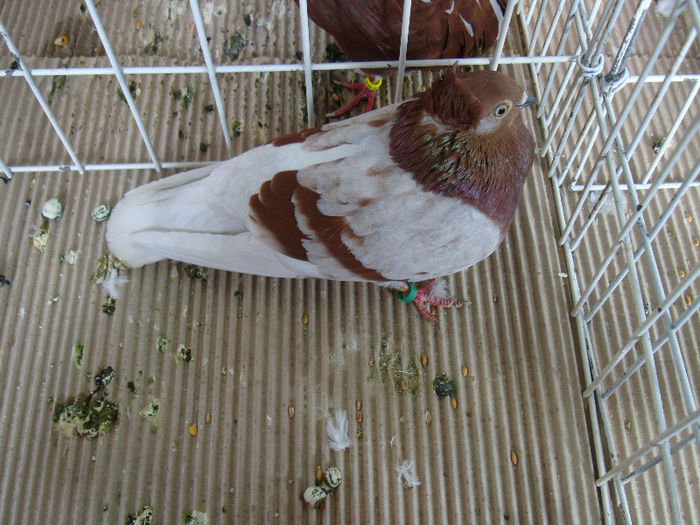 DSC02301