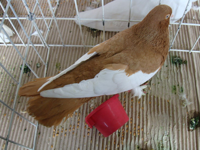 DSC02303
