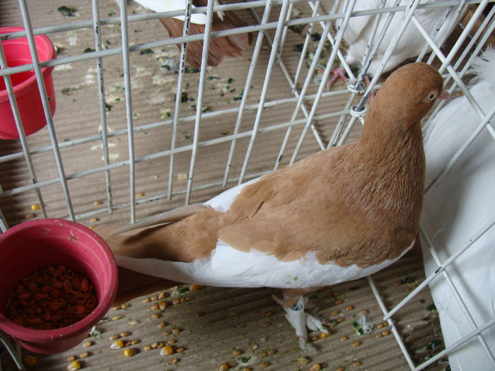 DSC02304