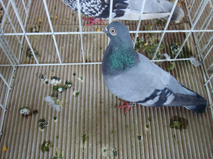 DSC02312