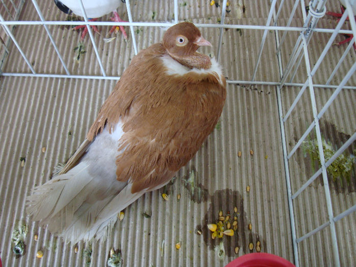 DSC02317