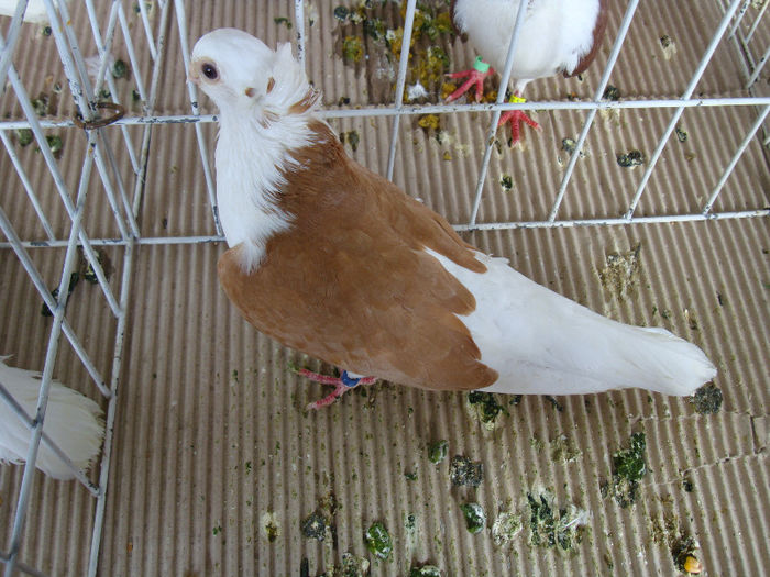 DSC02328